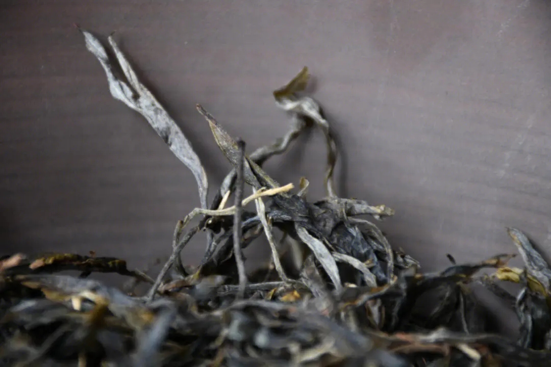 2023年正氣塘古樹春茶多少一公斤？