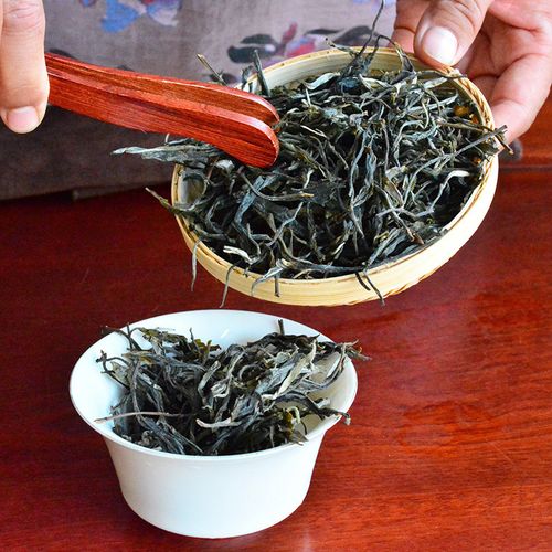 2023年地界古樹(shù)春茶口感是什么？