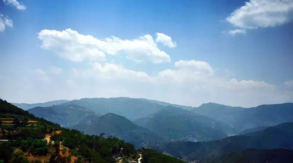 2023年勐庫大忠山古樹春茶價格是多少？