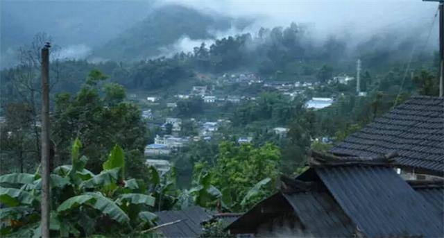 2023年勐庫豆腐寨古樹春茶口感怎么樣？