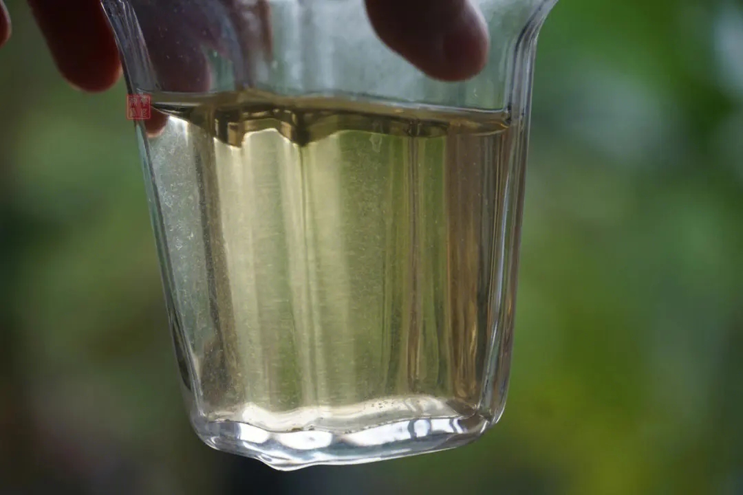 2023年多依樹(shù)古樹(shù)春茶價(jià)格是多少？