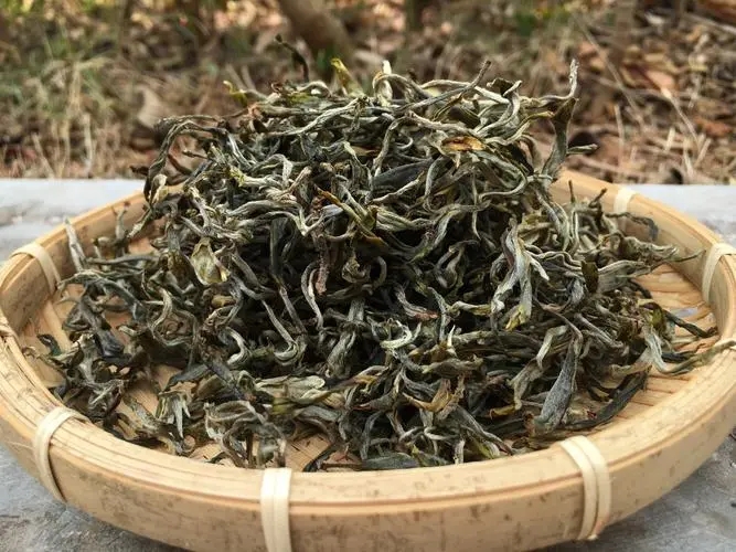 2023年易武張家灣古樹春茶品質(zhì)如何？