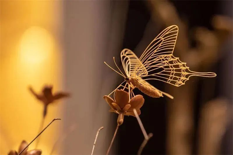 祝賀！陳財制茶被認定為市級普洱茶傳統(tǒng)制茶技藝非遺傳承人