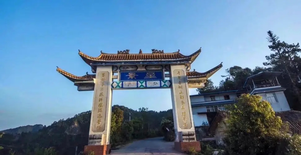 2024年墨江鳳凰窩古樹(shù)春茶特點(diǎn)是什么？