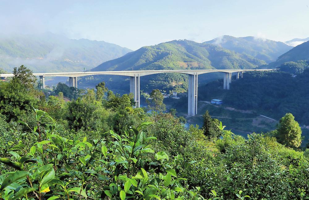 2024年昔歸古樹(shù)春茶品質(zhì)如何？