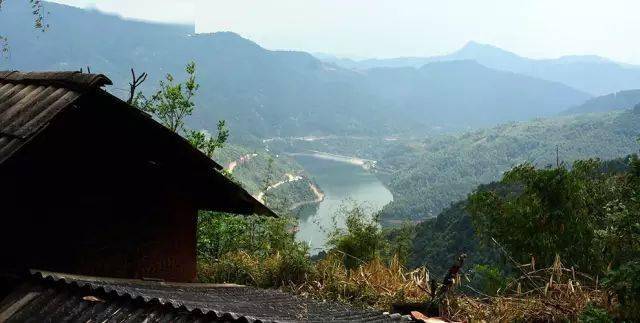 2024年磨烈古樹春茶價格多少？