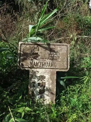 2025年蠻磚古樹春茶特點是什么？