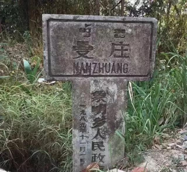 2025年蠻磚古樹春茶價格是多少？