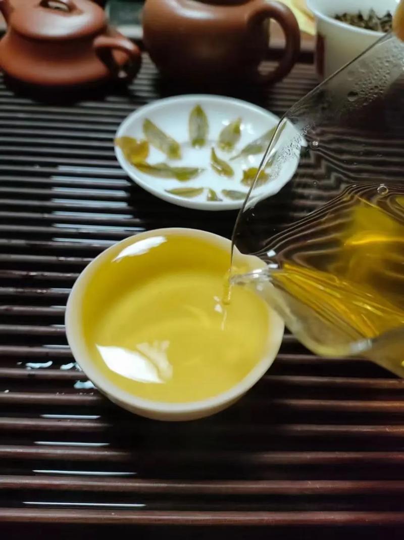 倚邦貢茶，甘甜醇柔